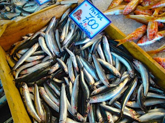 chania-market-fish1.jpg