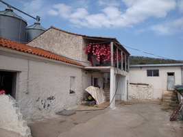 Cheese factory near Tripolis