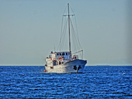 Cabin Charter Sailboat