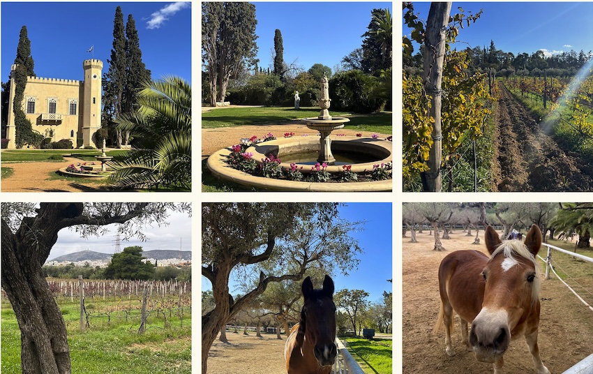 Spiro Vasilissis Winery