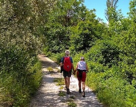 Hiking Pelion