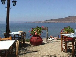 Guide to dining in Greece with restaurant reviews and specialities, Greece, restaurants, dining in Greece, Athens restaurants, Greek food, Greek dishes,eating in Greece, Lesvos restaurants, Greek island cuisine, Greek cuisine, dining in Athens, Greece restaurant Guide, Greek cooking, Greek food