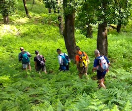 Pelion Hiking