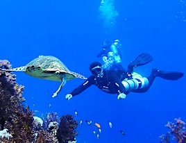 scuba Diving